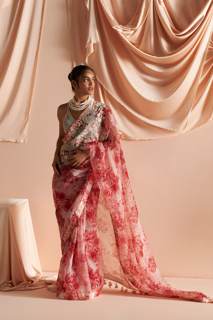 Ivory & Red Embroidered Blossom Saree