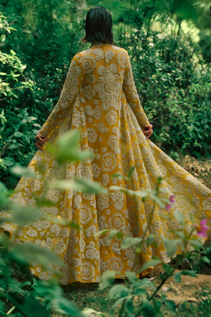 Mustard Embroidered Jacket & Pants Set